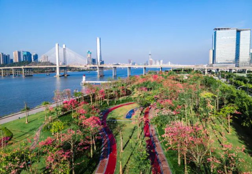 近年来，横琴致力推动与澳门的一体化发展，建设包括“澳门新街坊”在内的一大批宜居宜业项目，大力推进宜居宜业宜游优质生活圈的建设。图为横琴花海长廊。