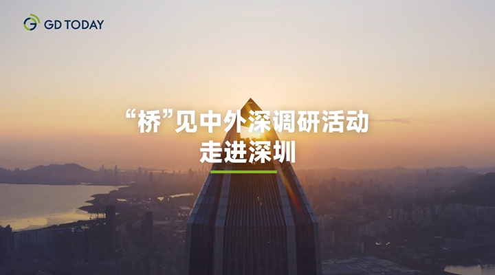 为何外商外资都看好大湾区？“桥”见中外在深圳探秘