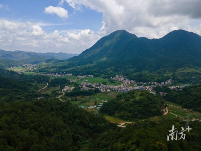 罗定市龙湾镇万亩南药种植示范基地。  