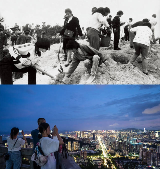 上图：1985年，全市机关干部义务在板樟山上植树；下图：2020年，傍晚，市民和游客在板樟山上乘凉看风景