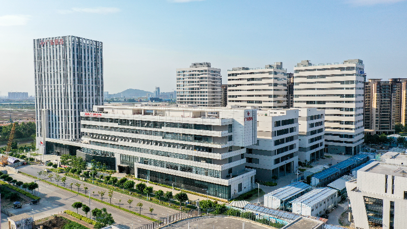 全面恢复通关后香港考察“天团”为何来这里？广州南沙给出了答案