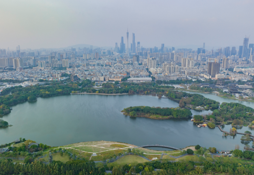 5月22日是国际生物多样性日。湿地具有涵养水源、调节气候、维持碳循环等极为重要的生态功能，是生物多样性的重要发源地之一。粤港澳大湾区拥有多个湿地公园，优质的生态环境为各种生物提供了生存繁衍空间，对维护生物多样性起到积极意义。广州海珠国家湿地公园是全国特大城市中心区域面积最大的湿地公园，目前湿地率达79.4%，鸟类种类从72种增加到187种，昆虫种类从66种增加值738种，鱼类从36种增加到64种。图为广州海珠湿地公园。