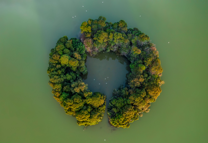 佛山三水云东海国家湿地公园坐落于珠三角腹地，总面积超过400公顷，是佛山市国家森林城市建设的重点工程，也是佛山市湿地体系中“三江汇流”保育区的湿地生态景观核心和珠三角地区鸟类迁徙的重要节点。湖水潋滟、植被茂盛，月亮湖湖心环形小岛吸引了上千只鹭鸟在此集聚栖息。图为佛山三水云东海国家湿地公园。