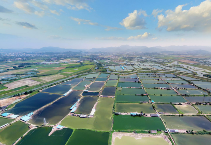 潼湖湿地是广东省最大且极少的典型内陆淡水湖泊湿地，包含了4个湿地类型：湖泊湿地、河流湿地、基塘湿地和水库湿地，这在广东省内十分难得，是候鸟迁徙重要停歇地和栖息地。图为惠州潼湖国家湿地公园。