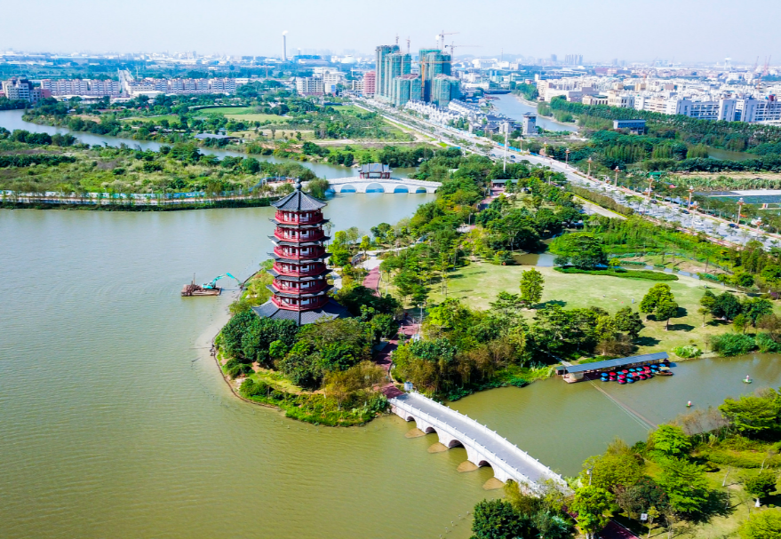 在东莞，华阳湖经过数年整治，完成了从“污染重灾区”到“湿地公园”的美丽蜕变，东莞麻涌华阳湖国家湿地公园更是以优美的风光和环境成为了东莞旅游的一张亮丽名片，吸引了白鹭、夜游鹤、野鸭等一大批水鸟重归这片栖息地。图为东莞麻涌华阳湖国家湿地公园。