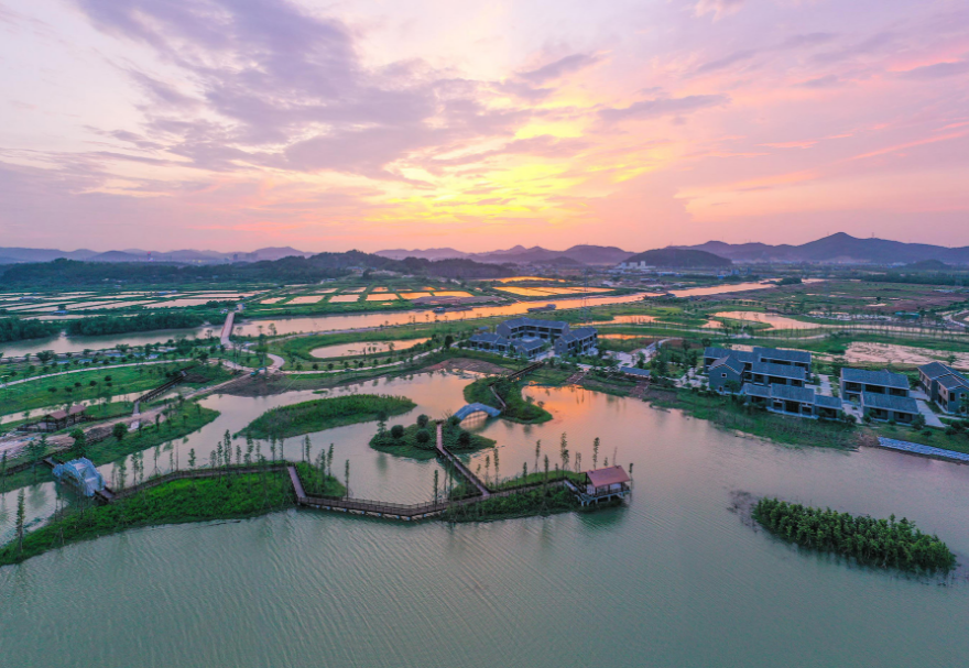 在中山翠亨国家湿地公园，红树林同样是一道靓丽的风景线，在黄昏时分，公园里“秋水共长天一色，落霞与孤鹜齐飞”，一派安谧祥和。图为中山翠亨国家湿地公园。