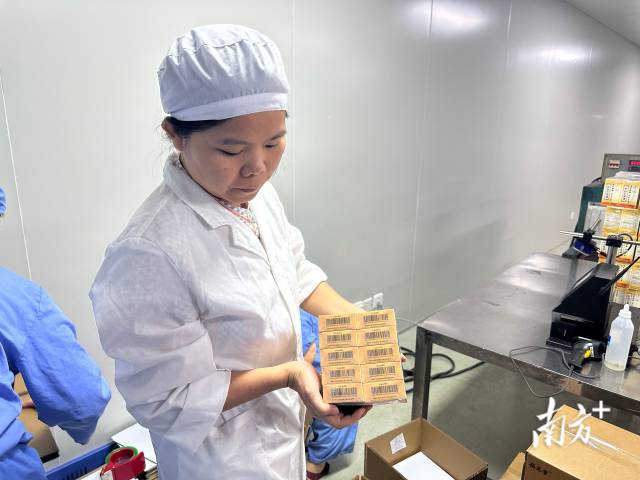 在广东恒健制药有限公司生产车间内，“位元堂”的麝香活络油已完成灌装与包装，赋上药品溯源码后，正式下生产线。