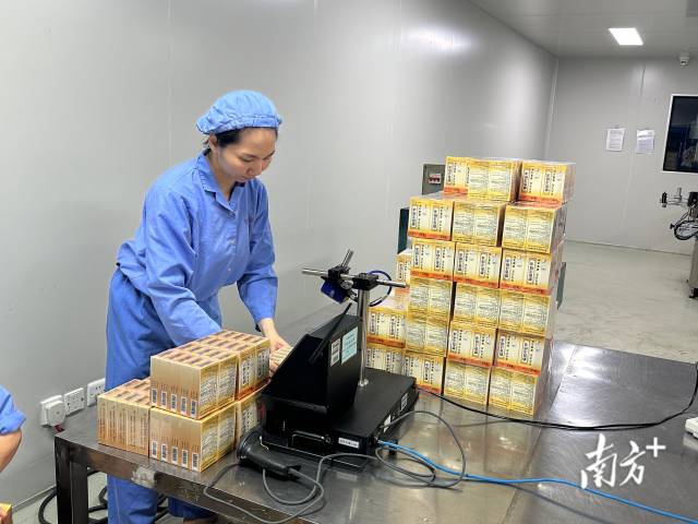 在广东恒健制药有限公司生产车间内，“位元堂”的麝香活络油已完成灌装与包装，赋上药品溯源码后，正式下生产线。