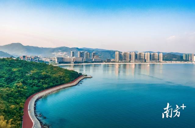 小径湾。大亚湾开发区供图