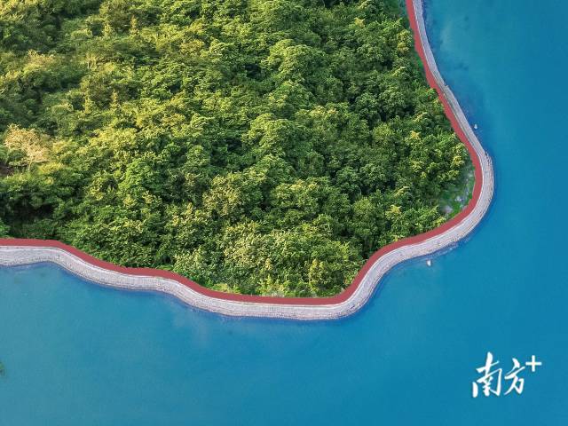 小桂绿道。大亚湾开发区供图