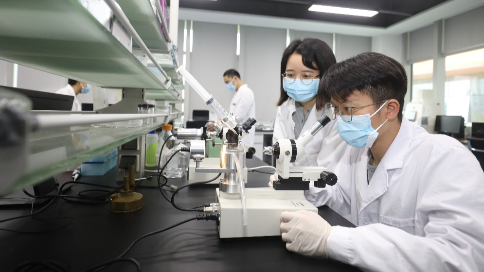 最高1亿元项目资助、保障子女教育！横琴出台人才新政