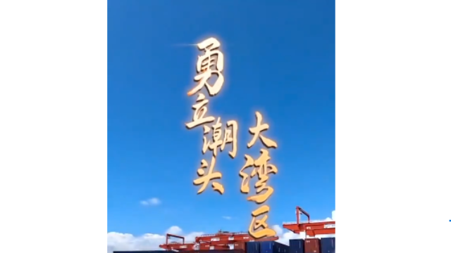 勇立潮头大湾区丨震撼！看广州南沙港智慧码头“隔空取物”