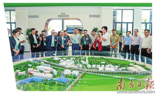 港商在大湾区农产品基地考察基地建设发展情况。受访者供图