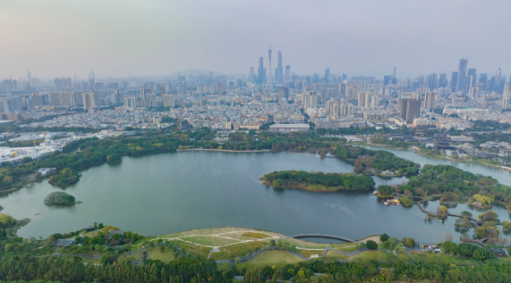 不可缺“湿”的生态之美！一起畅游大湾区湿地公园