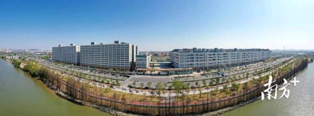 一批深圳企业来到江门建厂，尝到了深江产业合作的甜头。图为德昌电机（江门）有限公司。南方+记者 杨兴乐 摄
