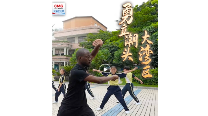 勇立潮头大湾区 | 佛山武术名扬四海，功夫文化发扬光大