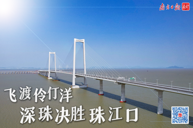 “超级工程”深中通道飞跨伶仃洋。 