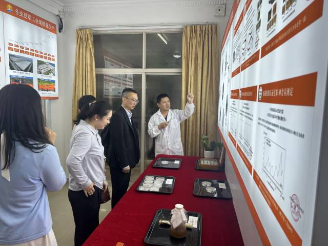 向16家知名企业推广琴澳营商优势，促进区域产业协作发展。