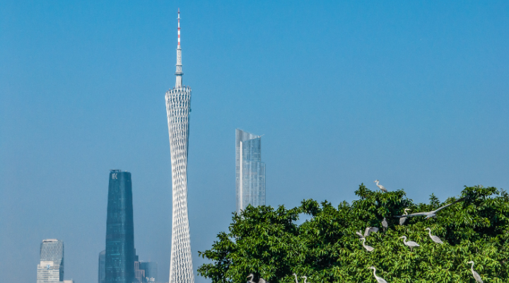 省文化和旅游厅党组书记、厅长李斌：加快建设更高水平更高质量更有影响力的旅游强省