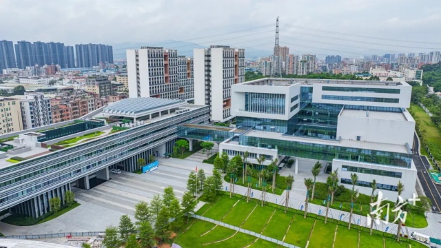 大湾区大学（筹）