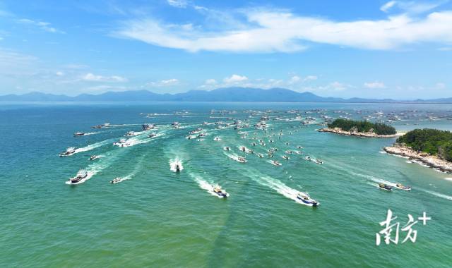 随着现代化海洋牧场建设的深入推进，广东“蓝色粮仓”越建越丰实，“大食物观”之路越蹚越敞亮。2023年以来，广东14个沿海地市已开工现代化海洋牧场项目90个、总投资额202亿元。
