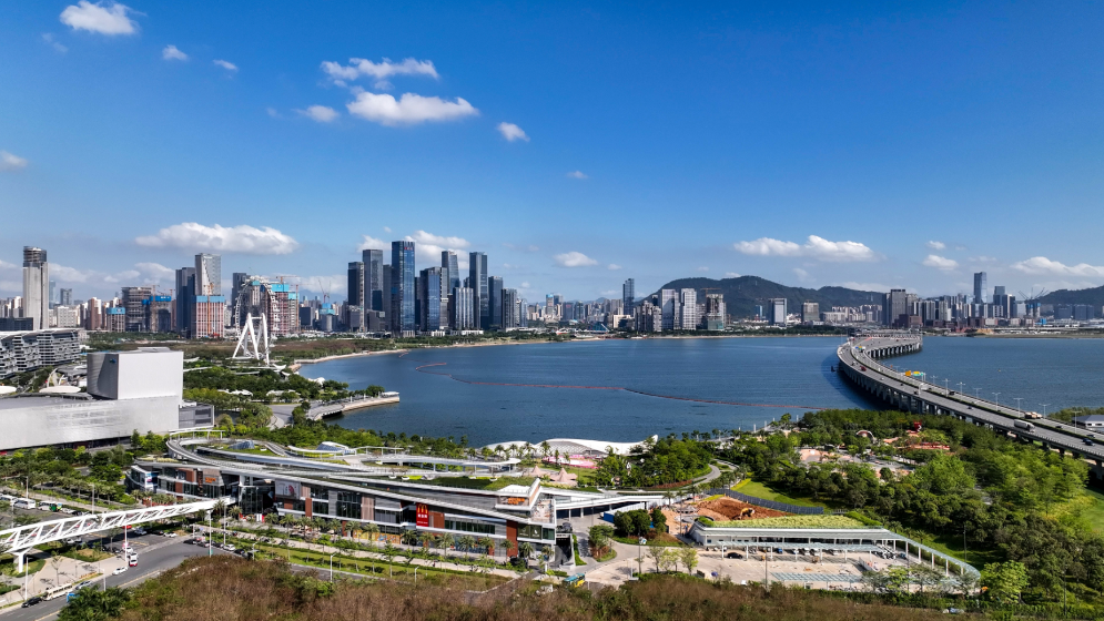沙特政企代表团访深圳前海，这些合作要搞大！