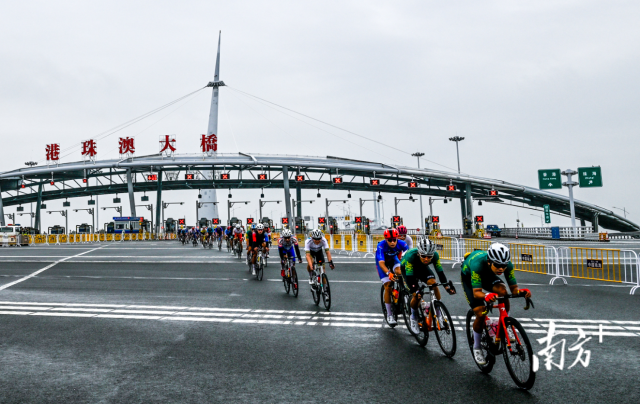 2024粤港澳公路自行车赛，选手们途经港珠澳大桥。南方+记者 钱文攀 摄