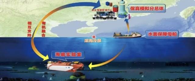 冷泉生态系统研究装置三个分总体布局。资料图片