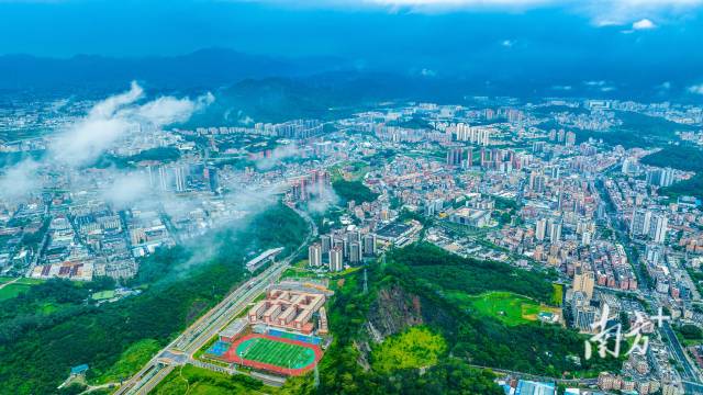 凤岗全景
