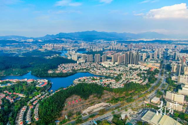 塘厦全景