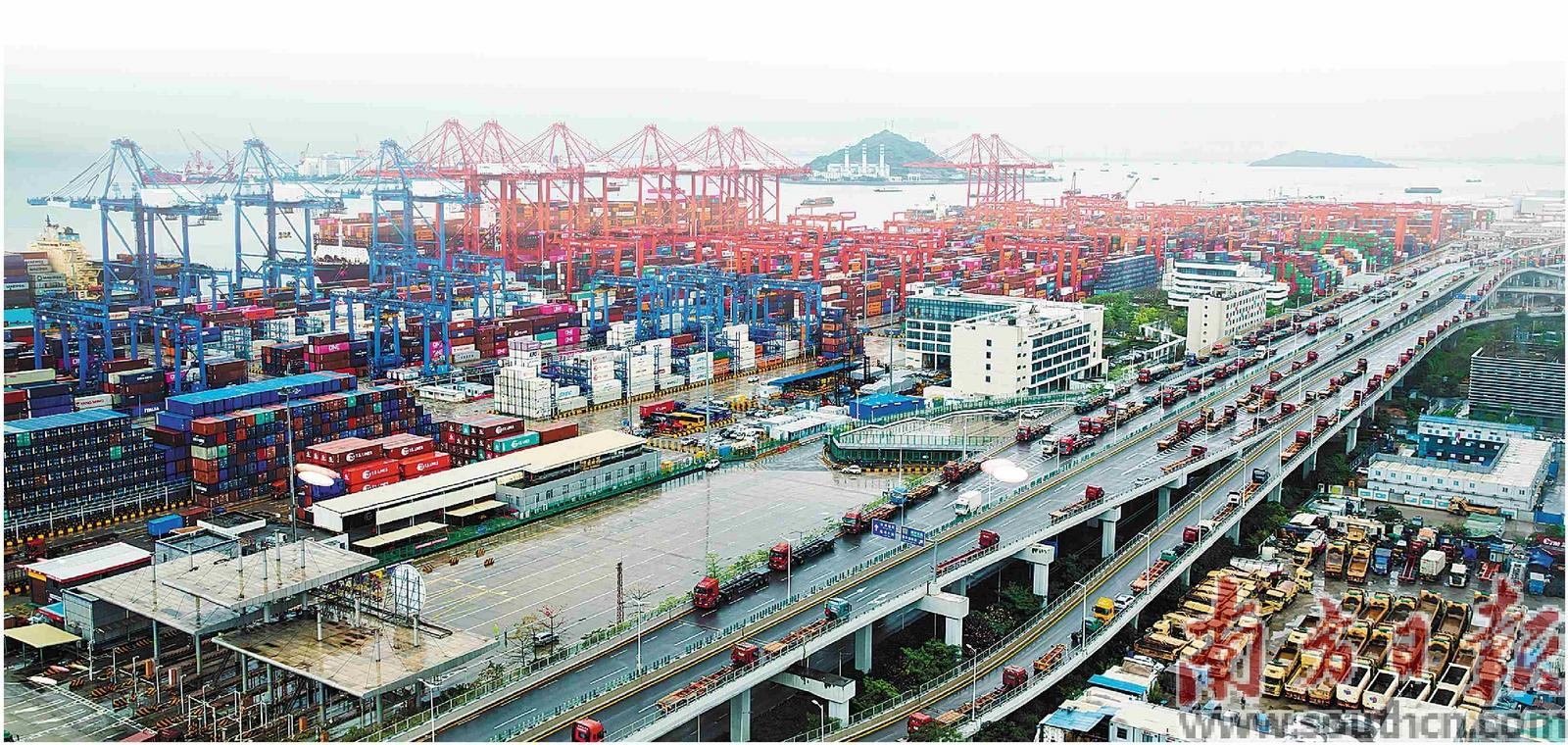 深圳前海妈湾智慧港码头。南方日报记者 张冠军 摄