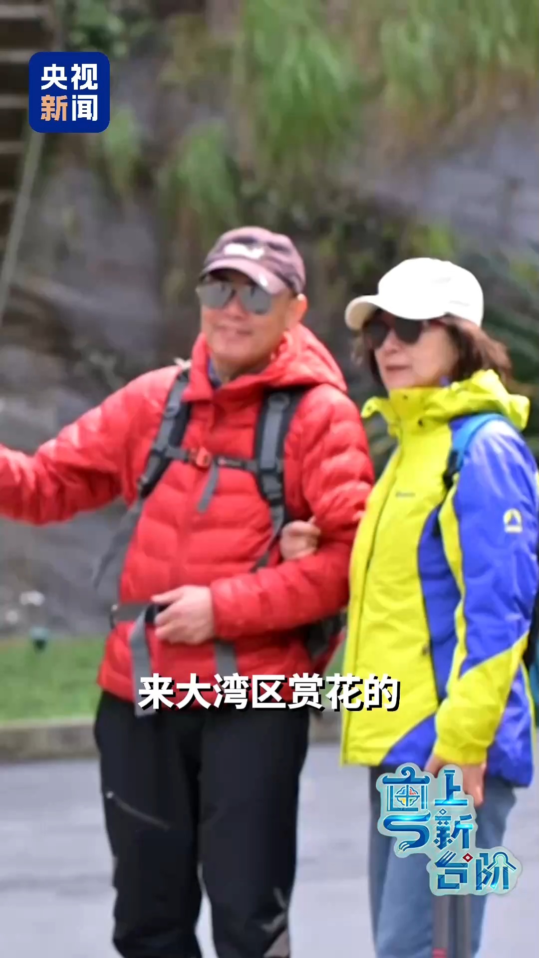 一趟由北向南开行的列车同时“惊动”了京津冀和粤港澳大湾区两大经济圈。
