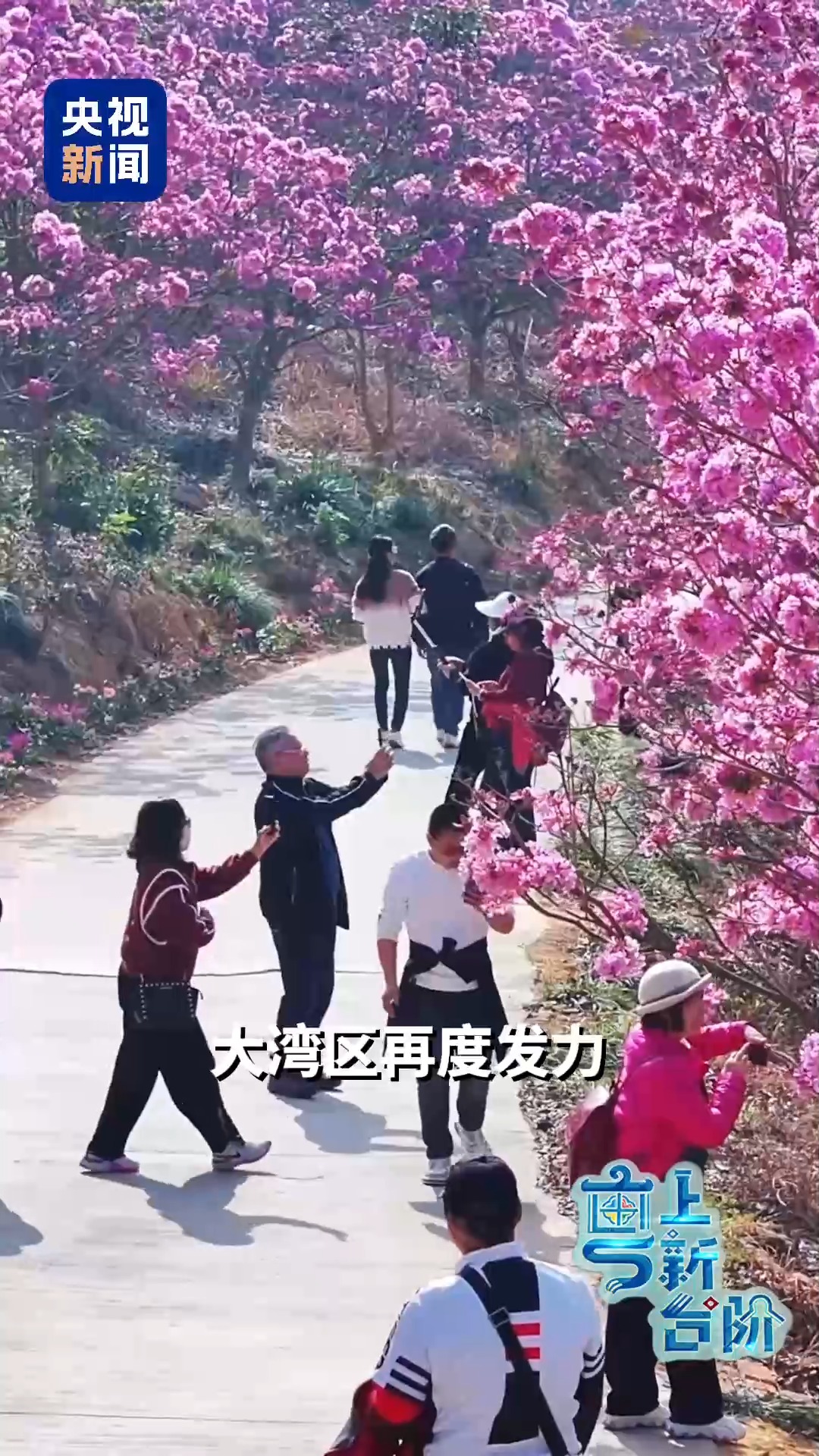 一趟由北向南开行的列车同时“惊动”了京津冀和粤港澳大湾区两大经济圈。