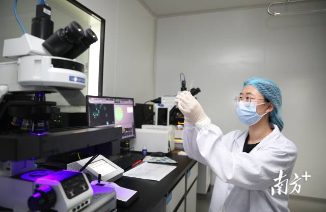 横琴粤澳深度合作区一企业实验室。关铭荣 摄