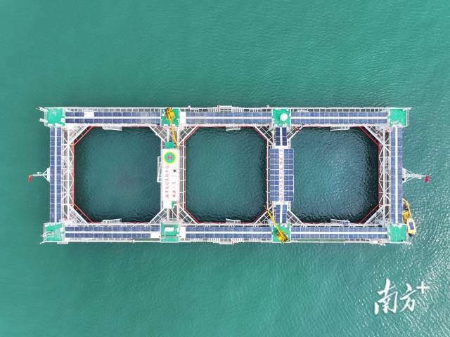 空中俯瞰“格盛一号”海洋牧场。