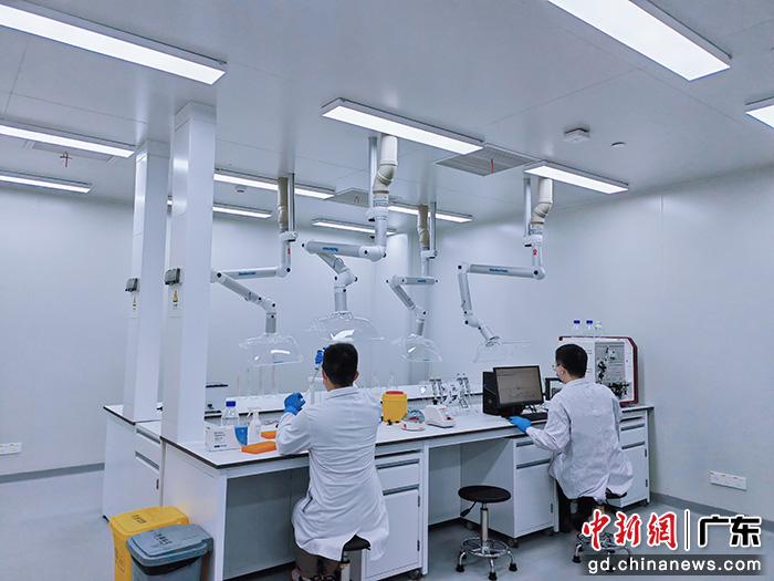  在“湾有引力”实验室工作中的科研团队。受访者供图