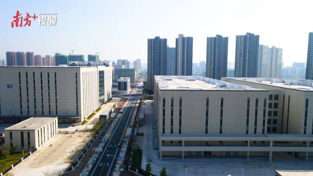 产业集群