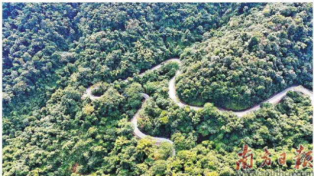 九曲十八弯的最美旅游公路南昆山路段。受访单位供图