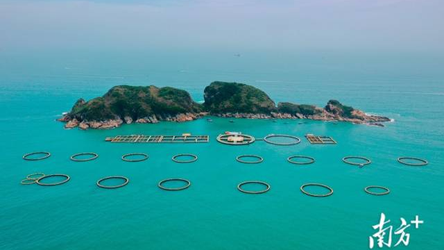 海洋牧场