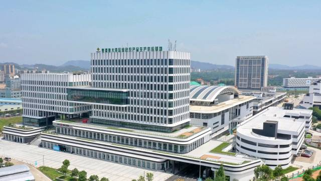 大湾区（广东·惠州）绿色农产品基地。
