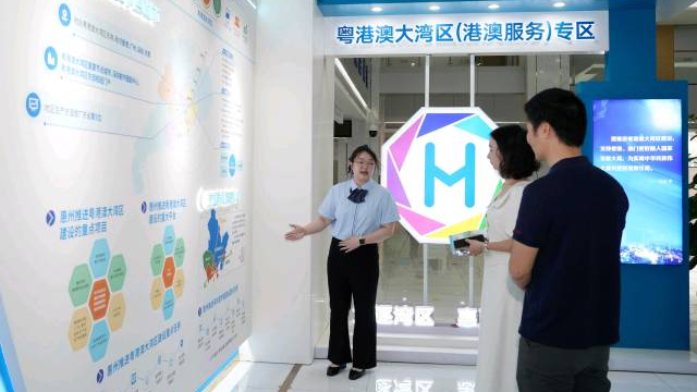 粤港澳大湾区（港澳服务）专区
