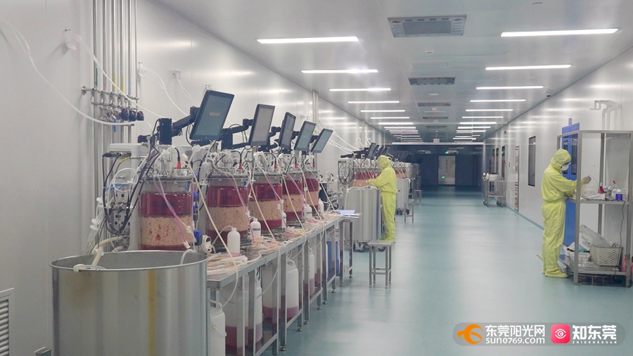 松山湖生物医药产业基地