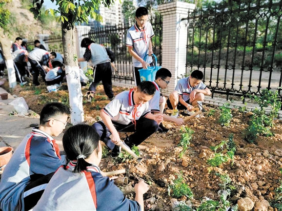 棠下初级中学学生在“百草园”种植中草药。
