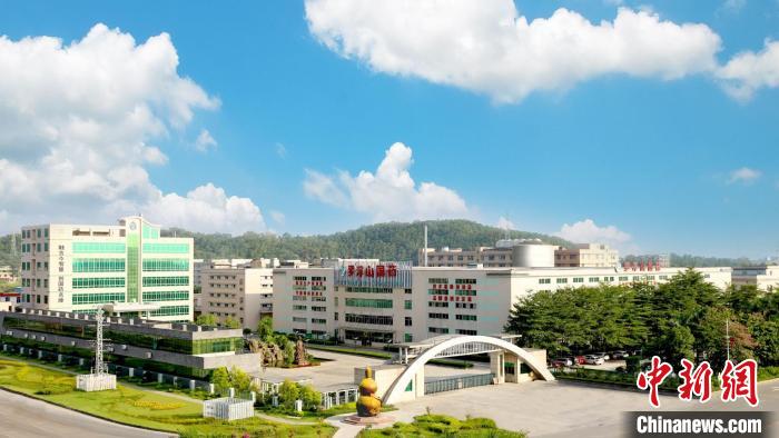 罗浮山国药公司