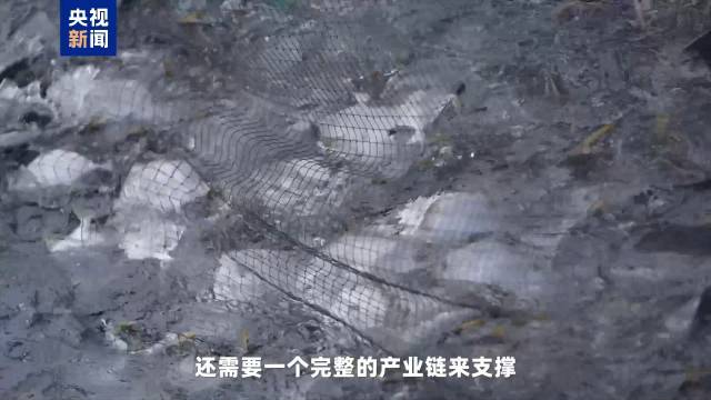深海养鱼