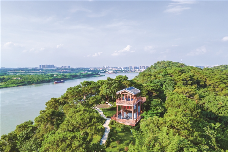在三水江根村可饱览“三江汇流”奇景。