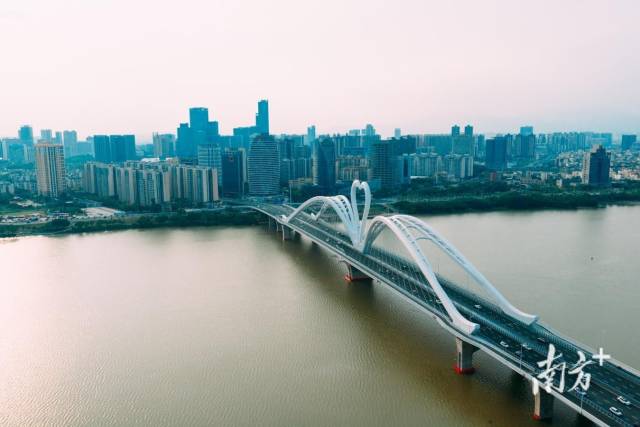 惠州鹅城大桥。